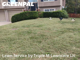 Mowing Services in Independence, 64058, Yard Work by Triple M Lawncare Llc, work completed in Nov , 2025