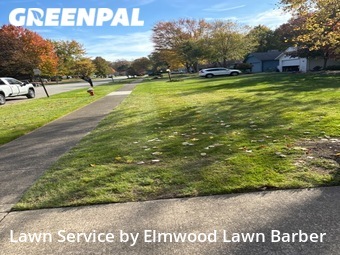 Grass Cut nearby North Ridgeville, OH, 