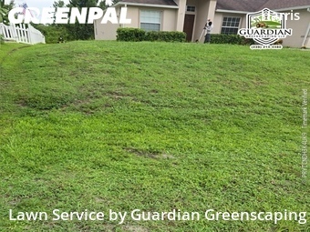 Lawn Mow nearby Lehigh Acres, FL, 