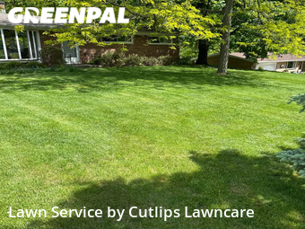 Grass Cut nearby Springfield, OH, 