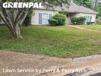 Lawn Mowing Service nearby Madison, MS, 