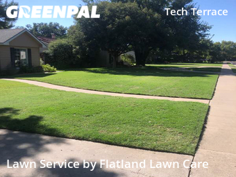 Yard Cutting nearby Lubbock, TX, 