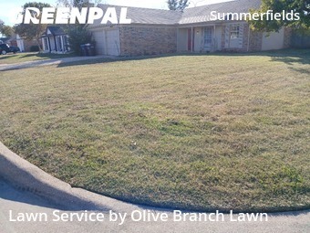 Lawn Care Servicein Fort Worth,76137,Grass Cut by Olive Branch Lawn, work completed in Nov , 2025
