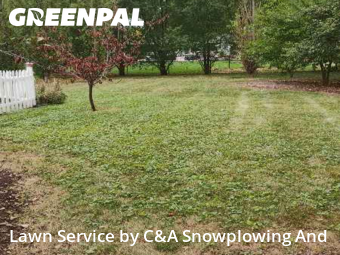 Grass Cutin Arlington Heights,60004,Yard Cutting by C&A Snowplowing And , work completed in Feb , 2026