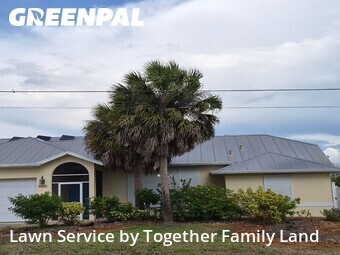 Grass Cutting nearby Port Charlotte, FL, 