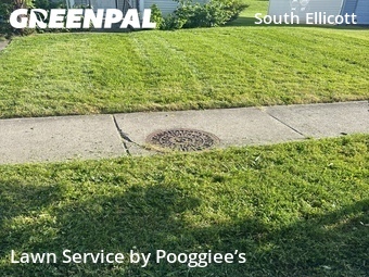 Landscape Design In Buffalo,14210,Landscaping Renovation by Pooggiee’s, work completed in Jun , 2026