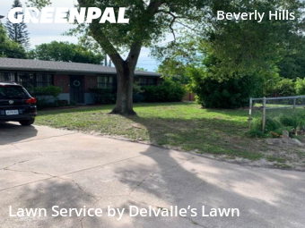 Yard Mowing nearby Daytona Beach, FL, 