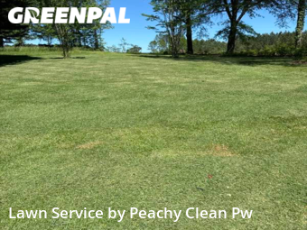 Lawn Care nearby Carrollton, GA, 
