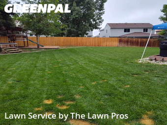 Grass Cutting nearby Thornton, CO, 