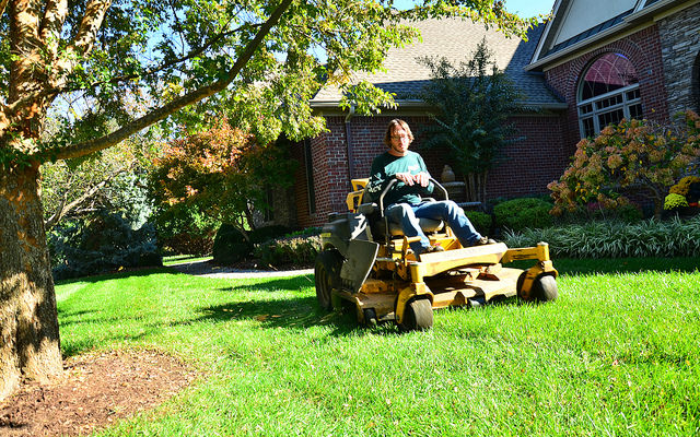 Work Image 4