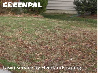 Yard Care in Dundalk, 21222, Lawn Work by Elvinlandscaping, work completed in Nov , 2025