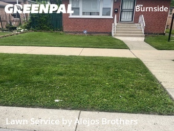 Lawn Cutting nearby Chicago, IL, 