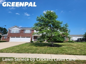 Yard Mowing nearby New Palestine, IN, 