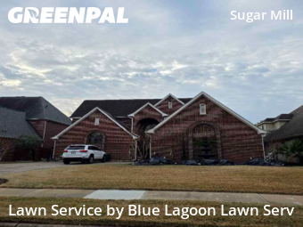 Lawn Mowing Servicein Sugar Land,77498,Lawn Mow by Blue Lagoon Lawn Serv, work completed in Feb , 2026