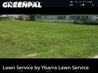 Lawn Service nearby La Porte, TX, 