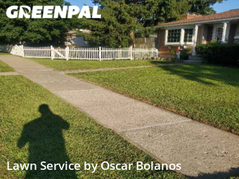 Grass Cut nearby Endicott, NY, 