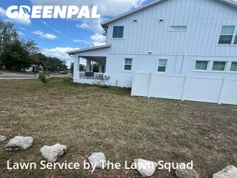 Grass Cut nearby Clearwater, FL, 