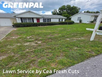 Lawn Cut nearby Ocala, FL, 