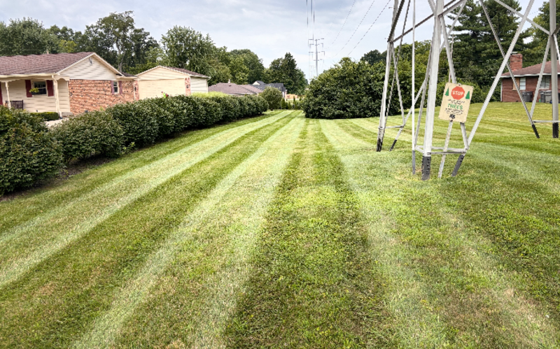Work Image 1