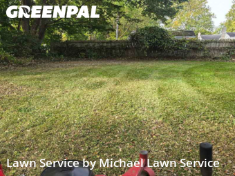 Lawn Cutting in Canton, 48187, Lawn Care by Michael Lawn Service, work completed in Nov , 2025
