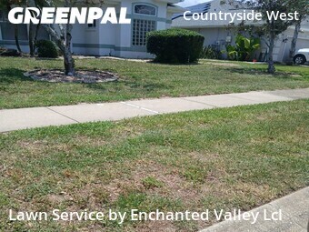 Yard Cutting nearby Port Orange, FL, 