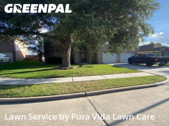 Grass Cut nearby Pasadena, TX, 