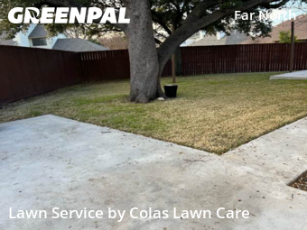 Grass Cut nearby Dallas, TX, 