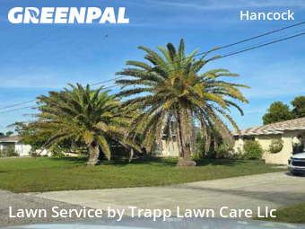 Yard Work in Cape Coral, 33990, Yard Care Services by Trapp Lawn Care Llc , work completed in Dec , 2025