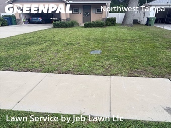 Lawn Care nearby Tampa, FL, 