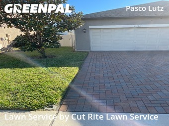 Lawn Mowing Service nearby Lutz, FL, 