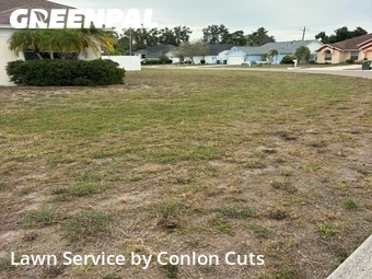 Lawn Cut nearby Bradenton, FL, 