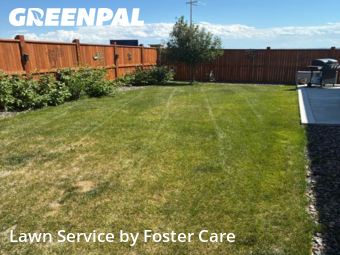 Grass Cutting nearby Longmont, CO, 