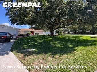 Lawn Mowing Service nearby Lakeland, FL, 