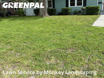 Lawn Cutting nearby St. Petersburg, FL, 