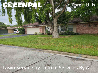 Front Yard Mowing in Coral Springs, 33065, Yard Care Services by Deluxe Services By A, work completed in Nov , 2025