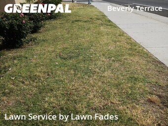 Lawn Mowing Service nearby Sacramento, CA, 
