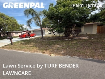 Grass Cutting nearby Port Richey, FL, 