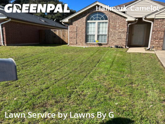 Yard Cutting nearby Fort Worth, TX, 