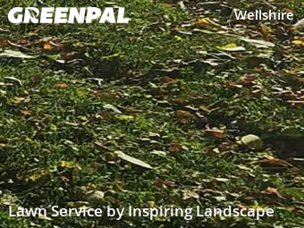 Grass Care in Denver, 80210, Lawn Cutting by Inspiring Landscape, work completed in Dec , 2025