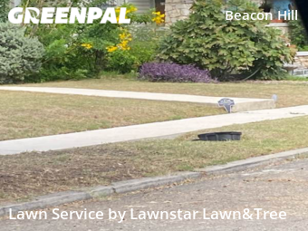 Grass Cutting nearby San Antonio, TX, 