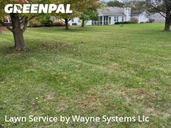 Lawn Mowing Service nearby Columbia, MO, 