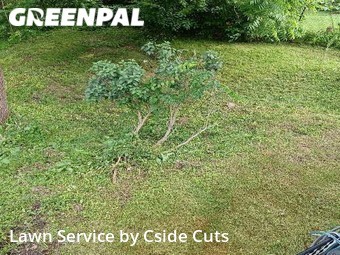 Lawn Service nearby Pittsburgh, PA, 