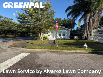 Lawn Servicein Winter Park,32789,Lawn Cutting by Alvarez Lawn Company, work completed in Nov , 2025