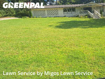 Yard Work in Norcross, 30071, Lawn Maintenance by Migos Lawn Service, work completed in Nov , 2025