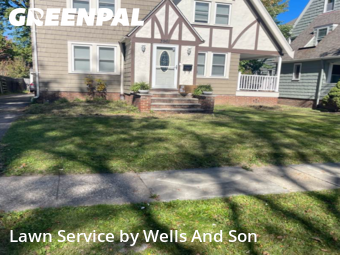 Yard Grooming in Cleveland Heights, 44121, Yard Care by Wells And Son, work completed in Nov , 2025
