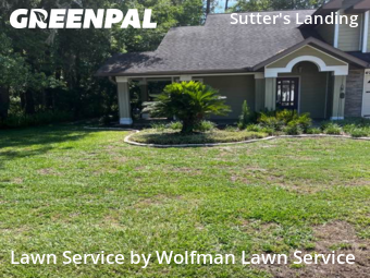 Grass Cut nearby Gainesville, FL, 