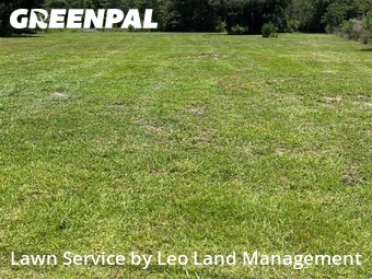 Lawn Cut nearby Lakeland, FL, 