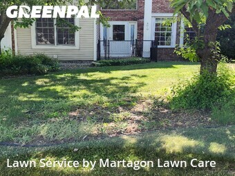 Yard Cutting nearby Woodbury, MN, 