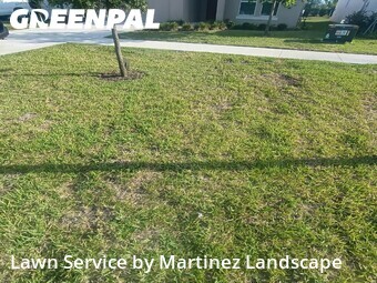 Lawn Mowing Service nearby Groveland, FL, 