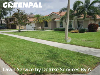 Lawn Mowin Plantation,33322,Lawn Maintenance by Deluxe Services By A, work completed in Dec , 2025